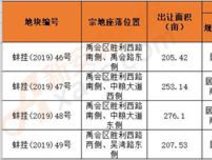 土地招拍挂