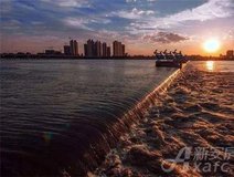 新安关注