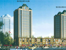 新房导购