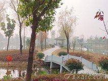 新房导购