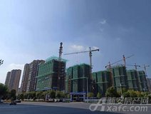 项目进度