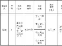 土地招拍挂