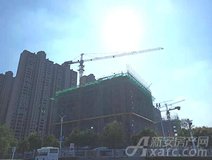 项目进度