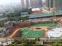 项目进度