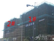 项目进度