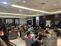 新安关注