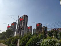 项目进度