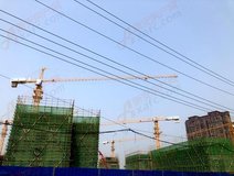 项目进度