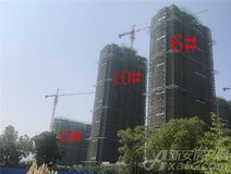 项目进度