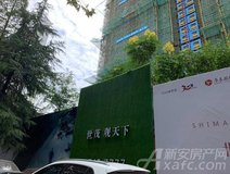 项目进度