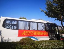 新安关注