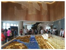 新安关注