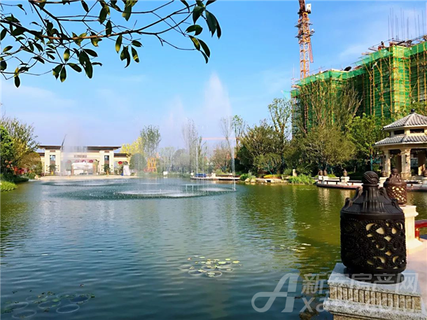 图片13.png