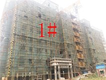 项目进度