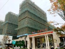 项目进度