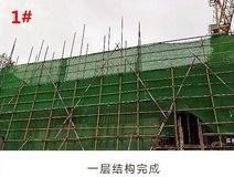 项目进度