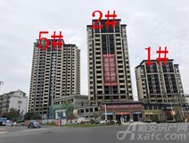 项目进度