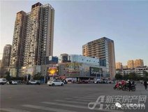 新房导购