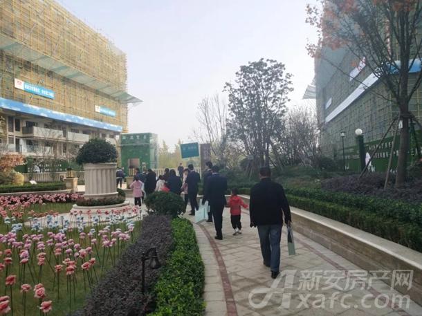 西溪玫瑰品牌文化之旅 西溪玫瑰品牌文化之旅