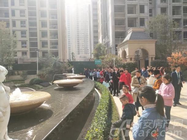 西溪玫瑰品牌文化之旅 西溪玫瑰品牌文化之旅