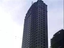 项目进度