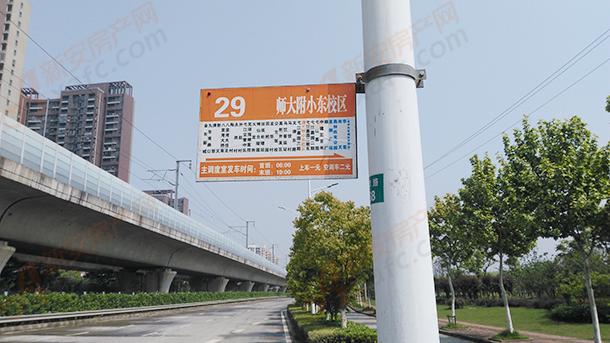 29路公交站牌