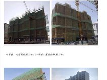 项目进度