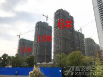 项目进度