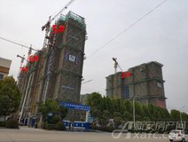 项目进度