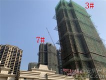 项目进度