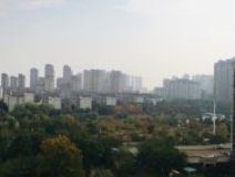 新安关注