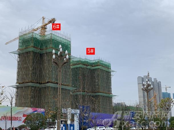 中铁南山名邸11月工程进度:5#,6#楼建至层以上