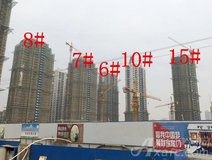 项目进度