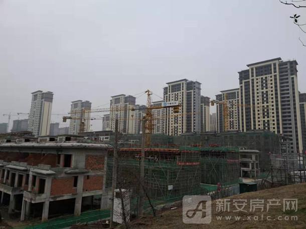 鸿坤理想城位于滁州琅琊新区政府旁,项目定为双学府山水公园艺墅住区