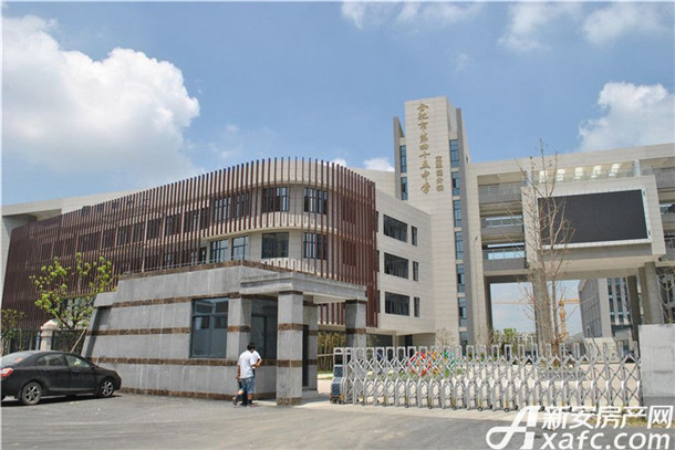 品质楼盘,生活所需 项目毗邻双学府,距师范附小肥东分校(规划中,48