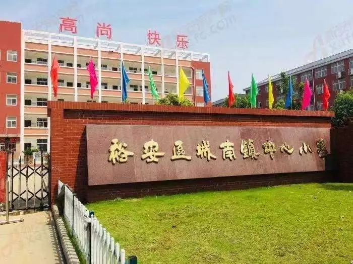 城南镇中心小学,裕安小学,裕安中学,城南中学 六安城西 城西的学校